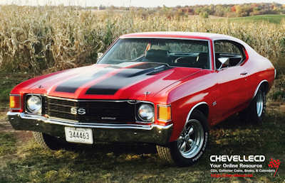 © CHEVELLECD All Rights Reserved