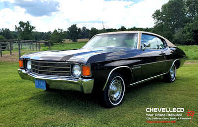 © CHEVELLECD All Rights Reserved