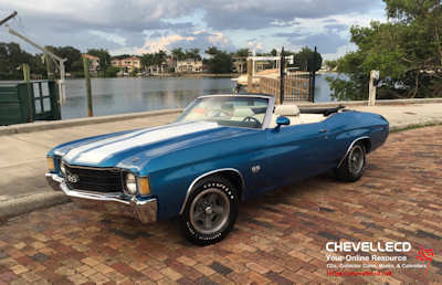 © CHEVELLECD All Rights Reserved