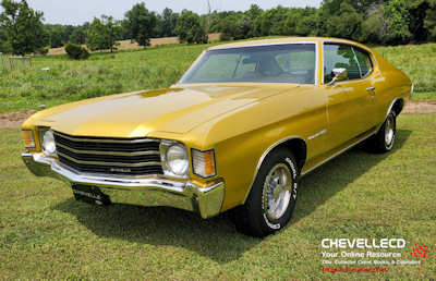 © CHEVELLECD All Rights Reserved