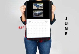 © CHEVELLECD All Rights Reserved