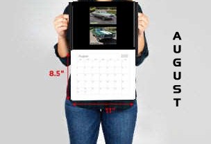 © CHEVELLECD All Rights Reserved