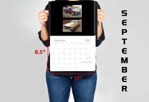 © CHEVELLECD All Rights Reserved