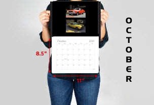 © CHEVELLECD All Rights Reserved