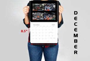 © CHEVELLECD All Rights Reserved