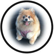 © CHEVELLECD All Rights Reserved